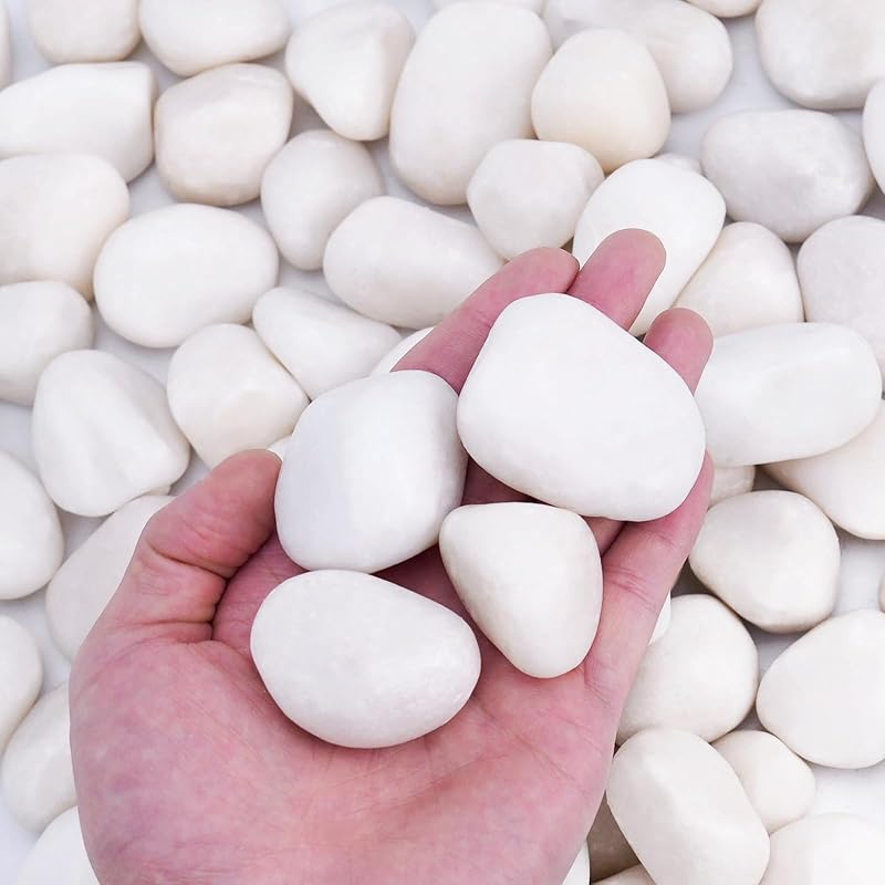 Pulovin Rocas blancas de 15 libras para paisajismo, jarrones, plantas de interior, 1-2 pulgadas | Grandes rocas blancas para plantas, piedras decorativas pulidas para jardín, pasarelas, patio, macetas, jarrones, manualidades