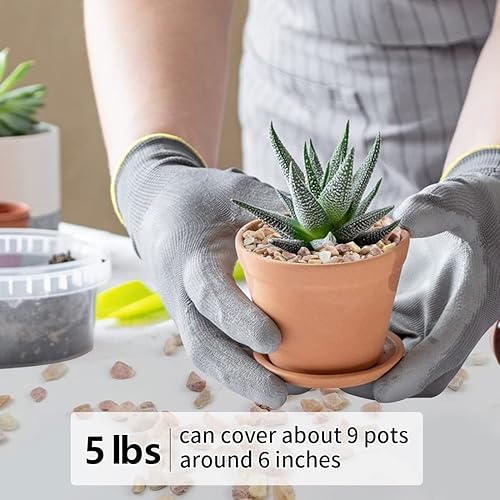 Miniatura 23 de Grava para suculentas y cactus de 10 libras, guijarros pulidos decorativos naturales de 1/5 pulgadas para paisajismo, rocas de río gris