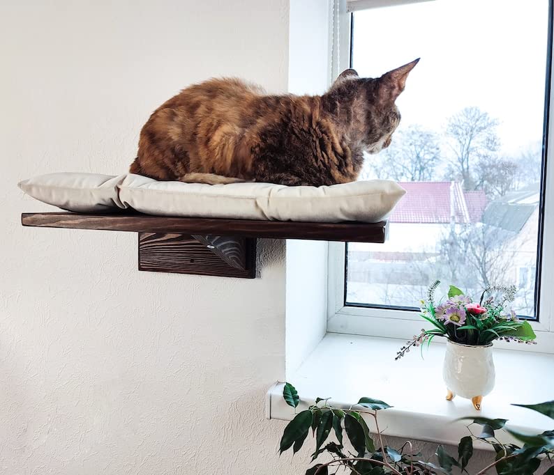 IThree Solid sheesham Wood Soft cat Wall Shelf cat Bed-image-16