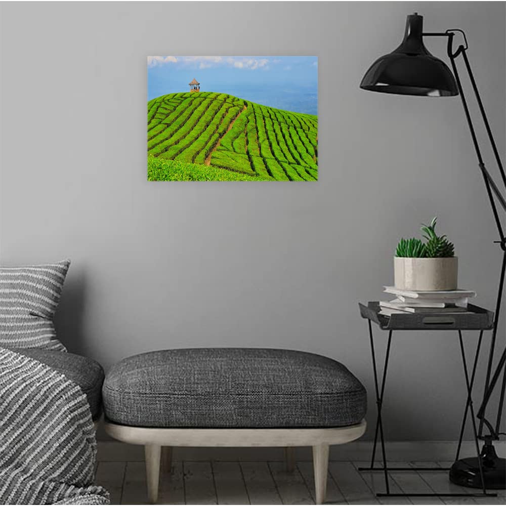 VERRE ART Wood Framed Canvas - Wall Decor for Living Room, Bedroom, Office, Hotels, Drawing Room (14in X 10in) - Paddy Field Scenery
