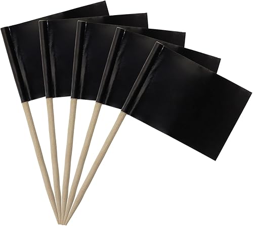 PPhtony Banderas de palillos de dientes en blanco, mini palillo para cupcakes, marcadores de queso, etiquetas de bufé para alimentos, frutas,