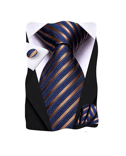 Dubulle Mens Paisley Striped Tie Woven Necktie for Men and