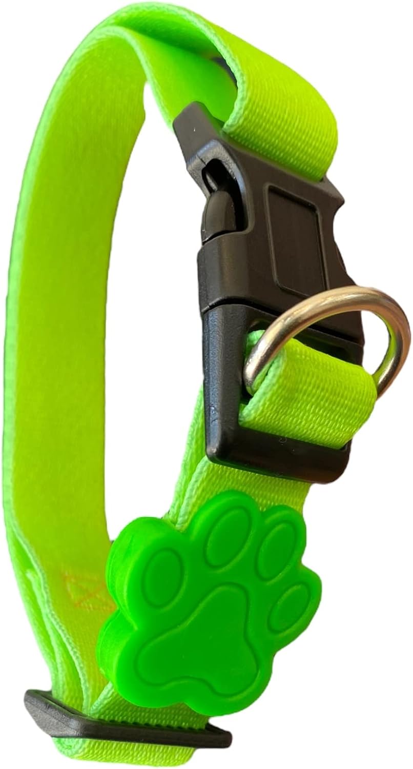 MY PET BRASIL Coleira Neon Para Cachorros P Coleira Ajustável Passeio E Viagem Confortável E Resistente Verde