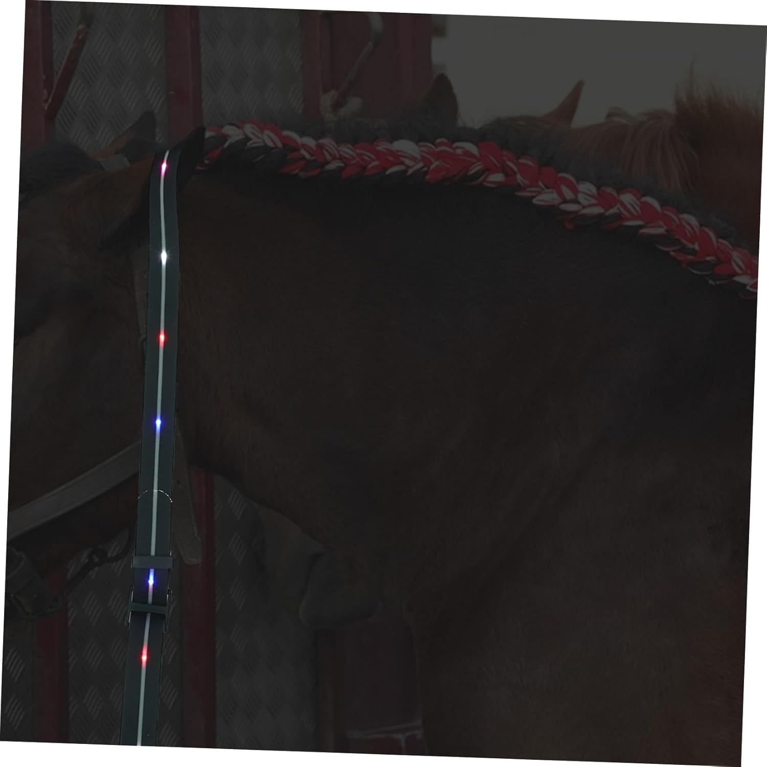 Garneck Led Equestrian Strap Luminous Horse Breastplate Colors Long Battery Life Horse Riding Gear Random Style