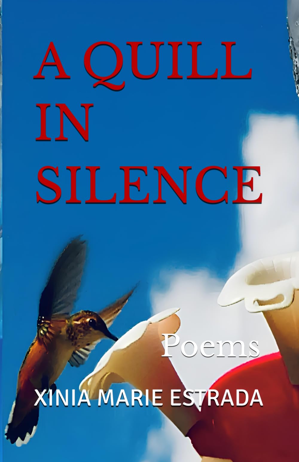 A Quill in Silence: Poems