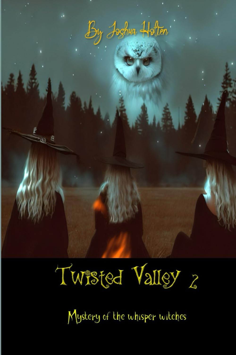 Twisted valley 2: The mystery of the whisper witches.