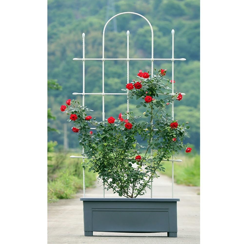 Enrejado Para Plantas Trepadoras RANKI 12 Metros – Acero Galvanizado, Ideal Para Vides, Kiwis, Rosas Y Clematis
