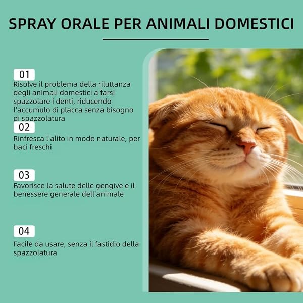 MEIION Codallma Spray per la Cura Dentale per Cani e Gatti - Pulizia Denti Gengive, Rimuove Placca, Rinfresca Alito - 3