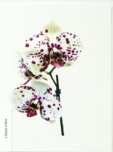 Miniatura 3 de Orchid - Tarjetas de notas fotográficas de lino pesado, 8 con 10 sobres a juego, juego en caja (4.25 x 5.50 pulgadas) en blanco en el interior,