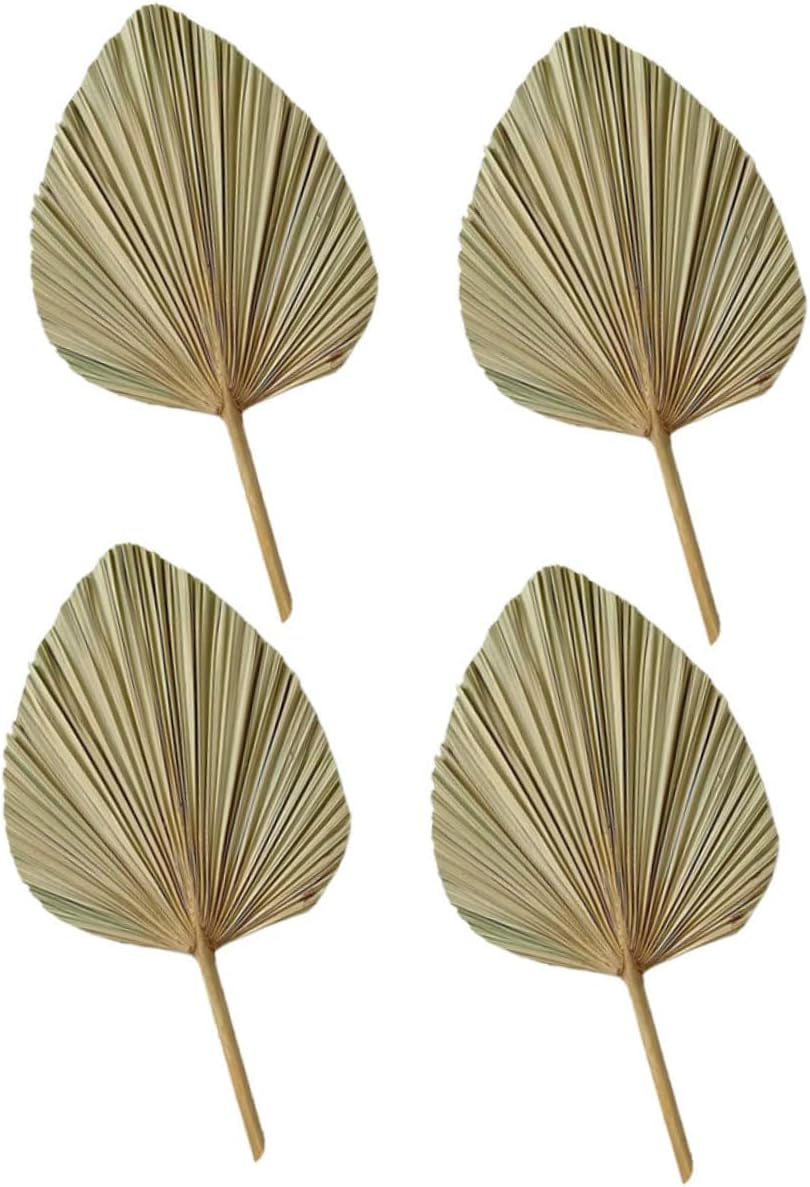SOLUSTRE 4pcs Dried Palm Leaves for Wedding and Party Decoration Tropical Leaf Props for Photography and Home Decor Boho Style for Unique Floral Arrangements