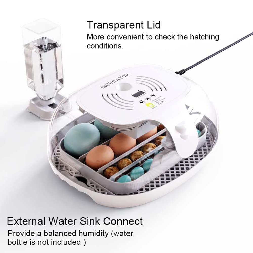Ei-Inkubator zum Schlüpfen mit automatischer Eierdrehung, LED-Ei-Testlampe, klarer Deckel, leicht zu waschen, 16 Eier, Geflügelbrüter, Bauernhof, Vogel, Wachtel, Huhn, Geflügelfarm, Brüter, W