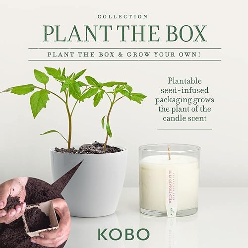 Miniatura 3 de Vela de vid de tomate salvaje con caja plantable (9 onzas)  Colección Plant The Box, velas de cera de soja 100% pura, vertidas a mano en Estados