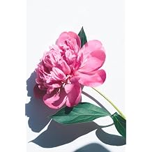 Journal Notebook For Journaling | 100 Lined Pages | 6 x 9 | Flower Design