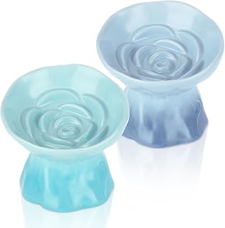 2 Pcs Ceramic Raised Slow Feeder Cat Bowl