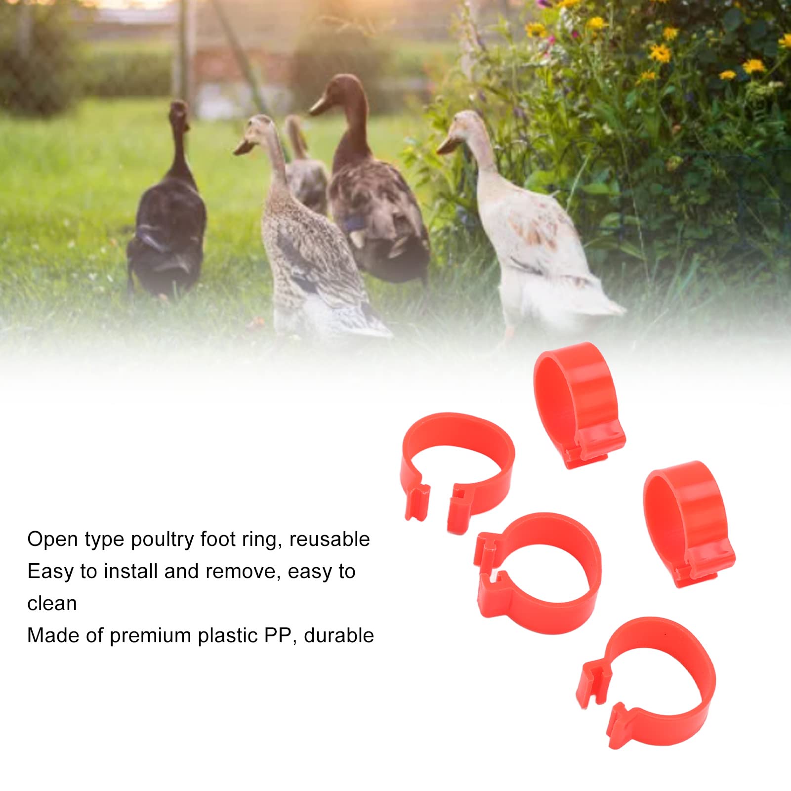 100 Anelli Numerati Per Zampe Di Pollame - Fascie Identificative Clip-On Per Galline, Anatre, Oche