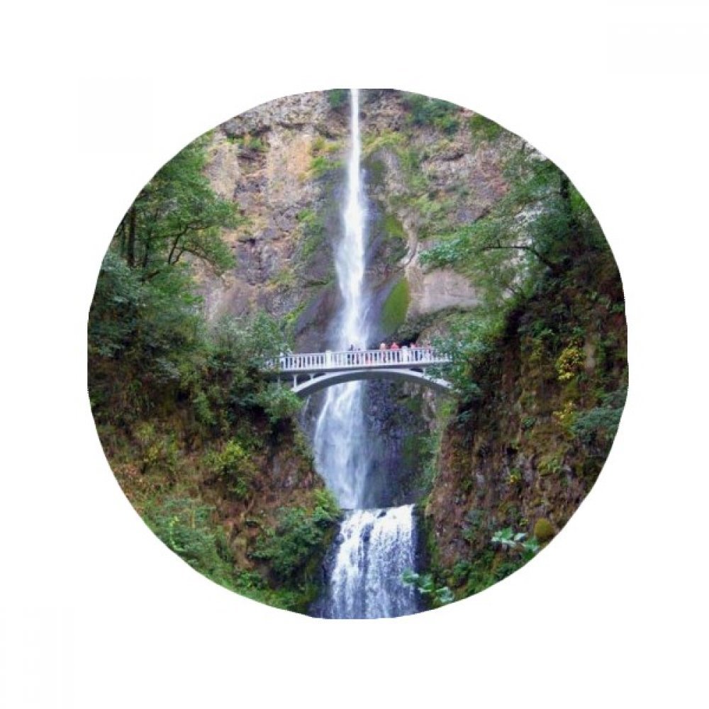 Tapis de douche rond forêt tropicale pour sublimer votre salle de bain