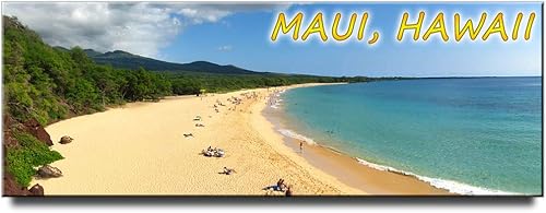 Imán panorámico para nevera de Maui, recuerdo de viaje de Hawaii, parque estatal de Makena
