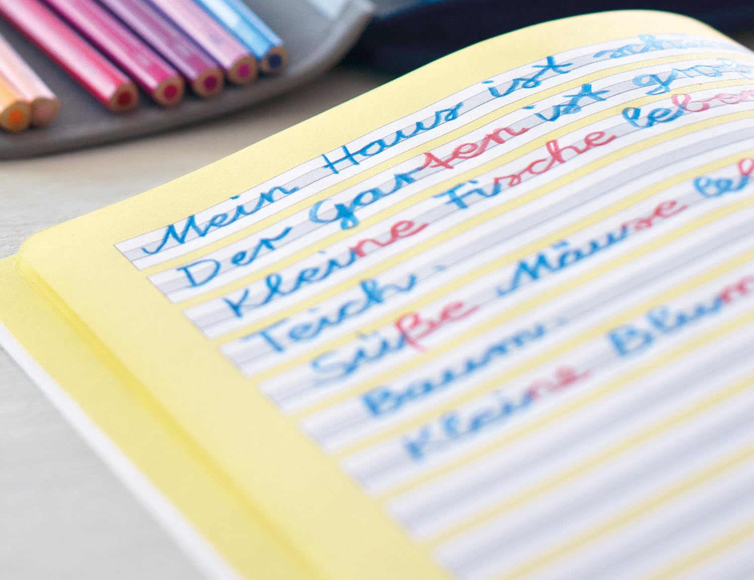 Faber-Castell Matite colorate Jumbo Grip 6 pezzi rosso blu