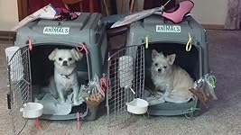 Review Image by AmazonJunkie AmazonJunkie