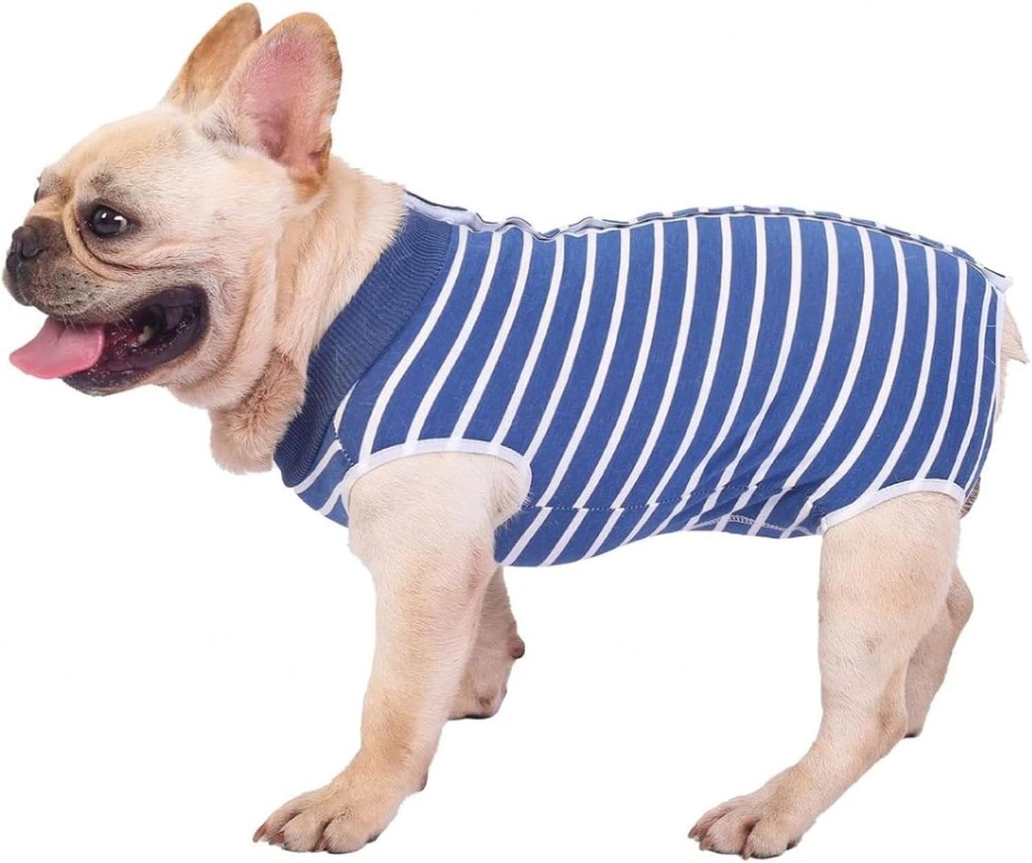 REMYS Dog Spay Recovery Suit Female AntiLicking Pet