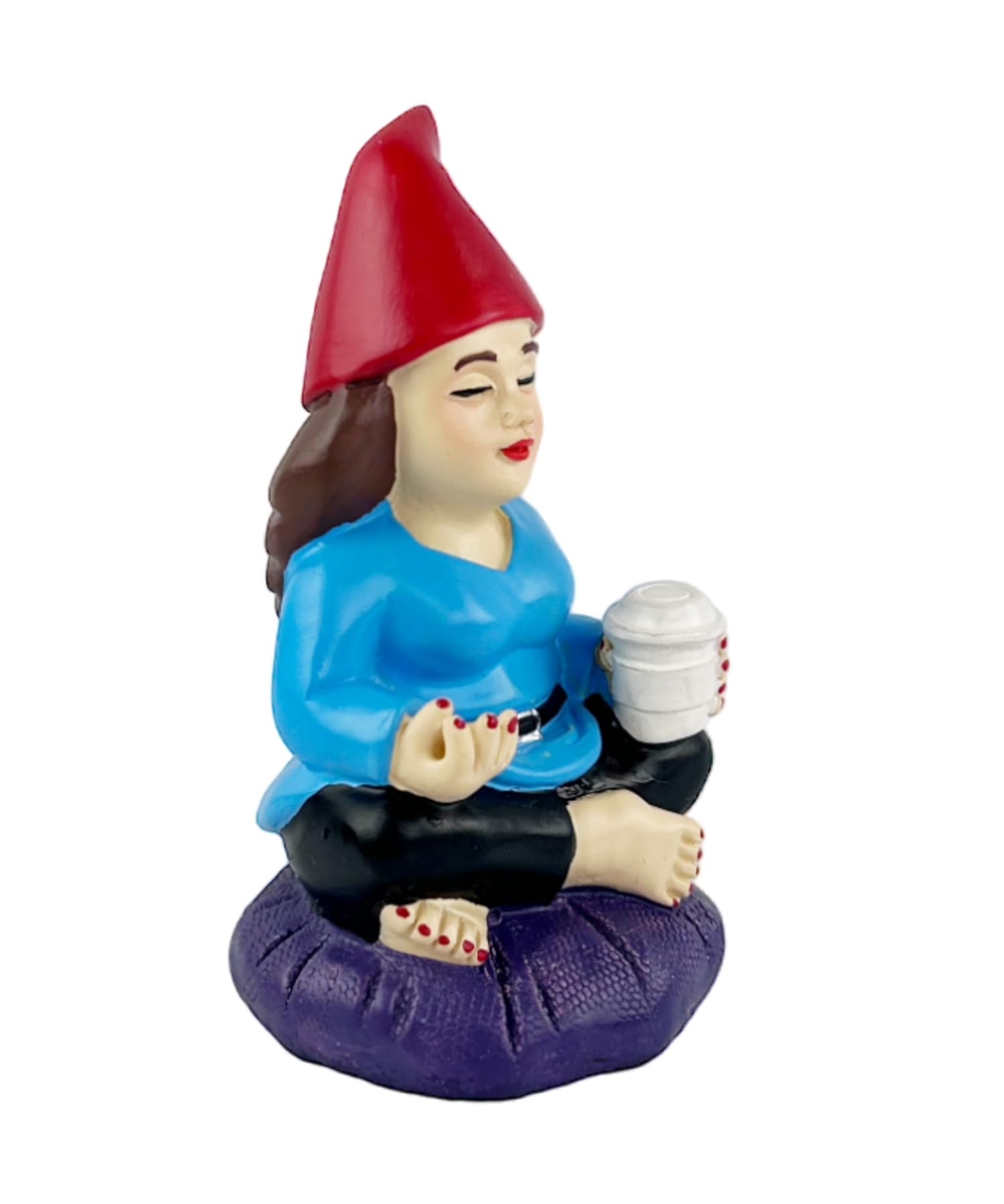 Amazon.com : Gnometastic Mini Gnomes Zen Garden 3.75in - Funny