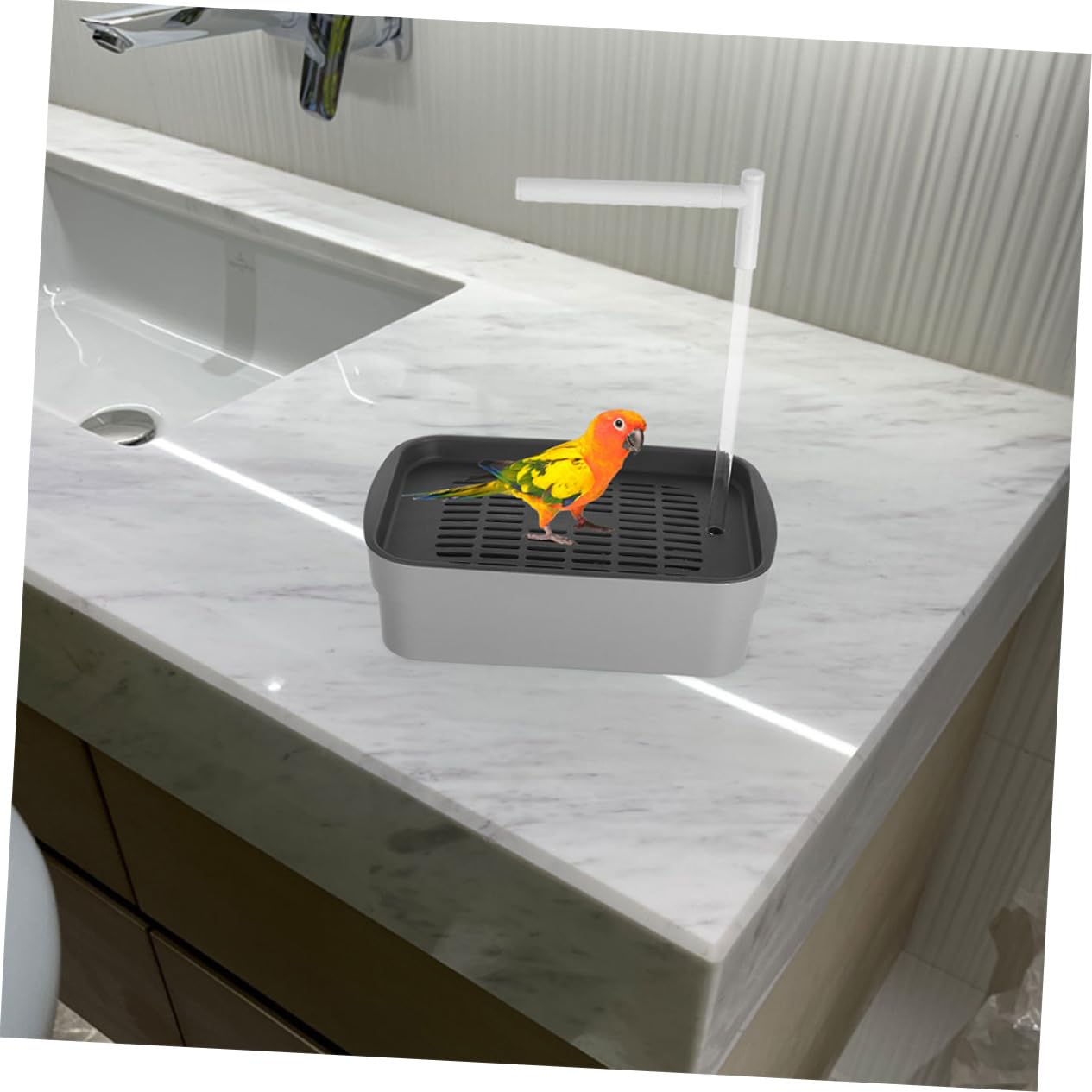 SUPVOX Bañera Automática para Pájaros de Interior Bañera para Loros Ducha Contenedor de Baño Automático para Periquitos y Cacatúas para Mascotas Higiene de Loros Jaulas