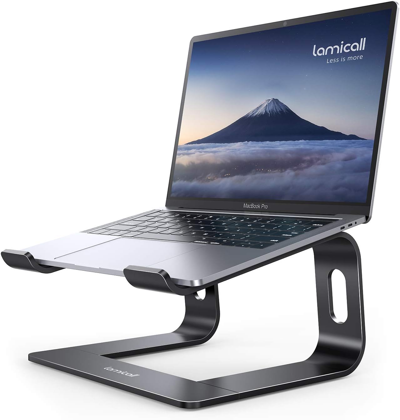 stand lamicall