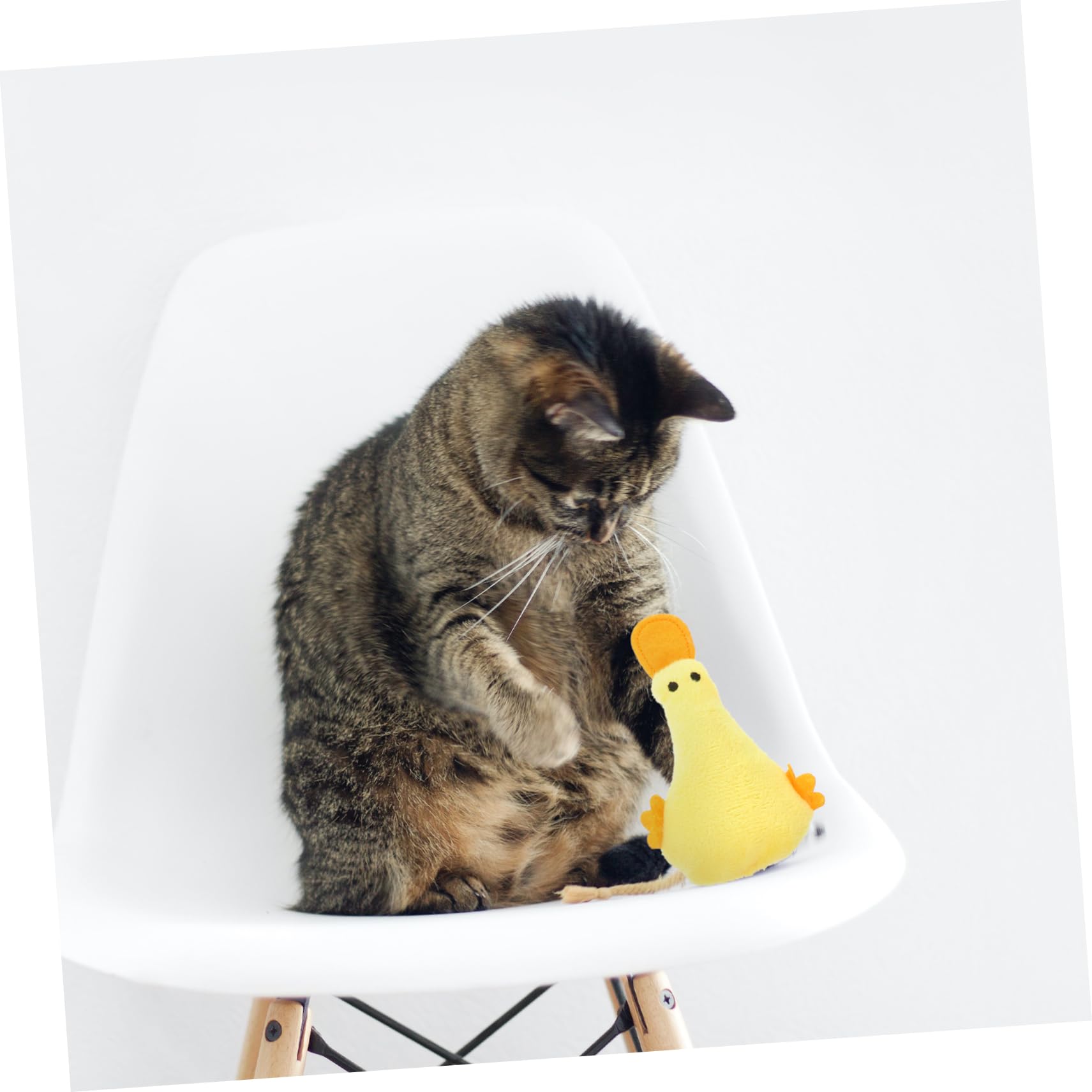 INOOMP 20piezas Juguetes De Morder para Gatos Juguetes De Peluche Hierba Gatos Interiores