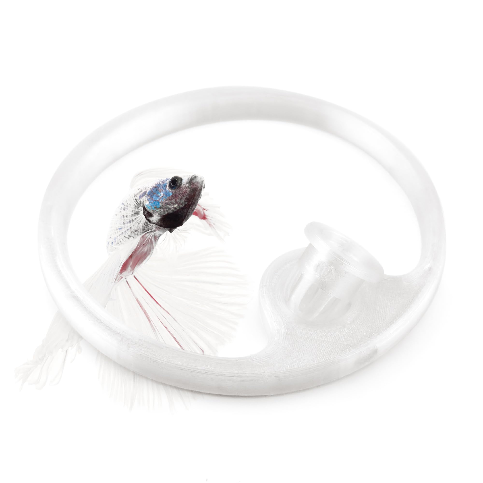 byMazy Betta Fish Feeding Ring | Floating Aquarium Portal with Worm Feeder Cone, Fish Tank Feeding Station (Clear White, SS)