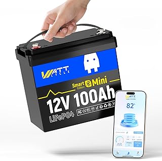 Bluetooth 12V 100Ah LiFePO4 Lithium Battery, Mini Size Group 24, 100A Smart BMS & Low Temp Protection, 1280Wh Output Power, 15000+deep Cycles, Perfect for Trolling Motor, RV, Solar
