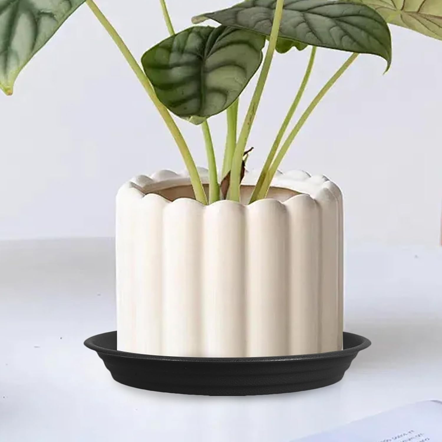 10pcs Heavy Duty Plastic Plant Water Catcher Trays Round Flower Pot Saucers 19cm Inner Diameter Drainage Drip Plates for Indoor Outdoor Garden Planters