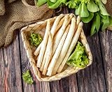 Seeds White Asparagus 30+ Seeds