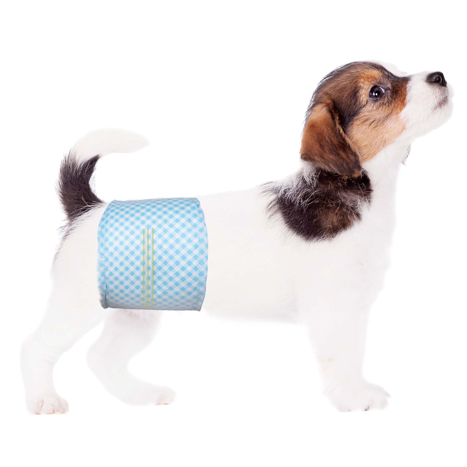 Flying Paws Bande per pancia usa e getta per cani maschi, con indicatore di umidità, super assorbenti, morbidi, pannolini per cani maschi (XS, 20)