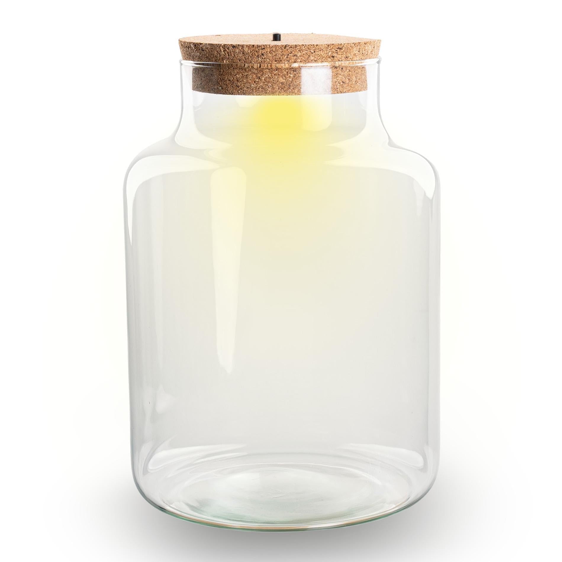 Terrario botella de cristal cerrada con corcho e iluminación LED – Altura 24,5 cm Ø17 cm – Terrario decorativo para plantas de vidrio reciclado
