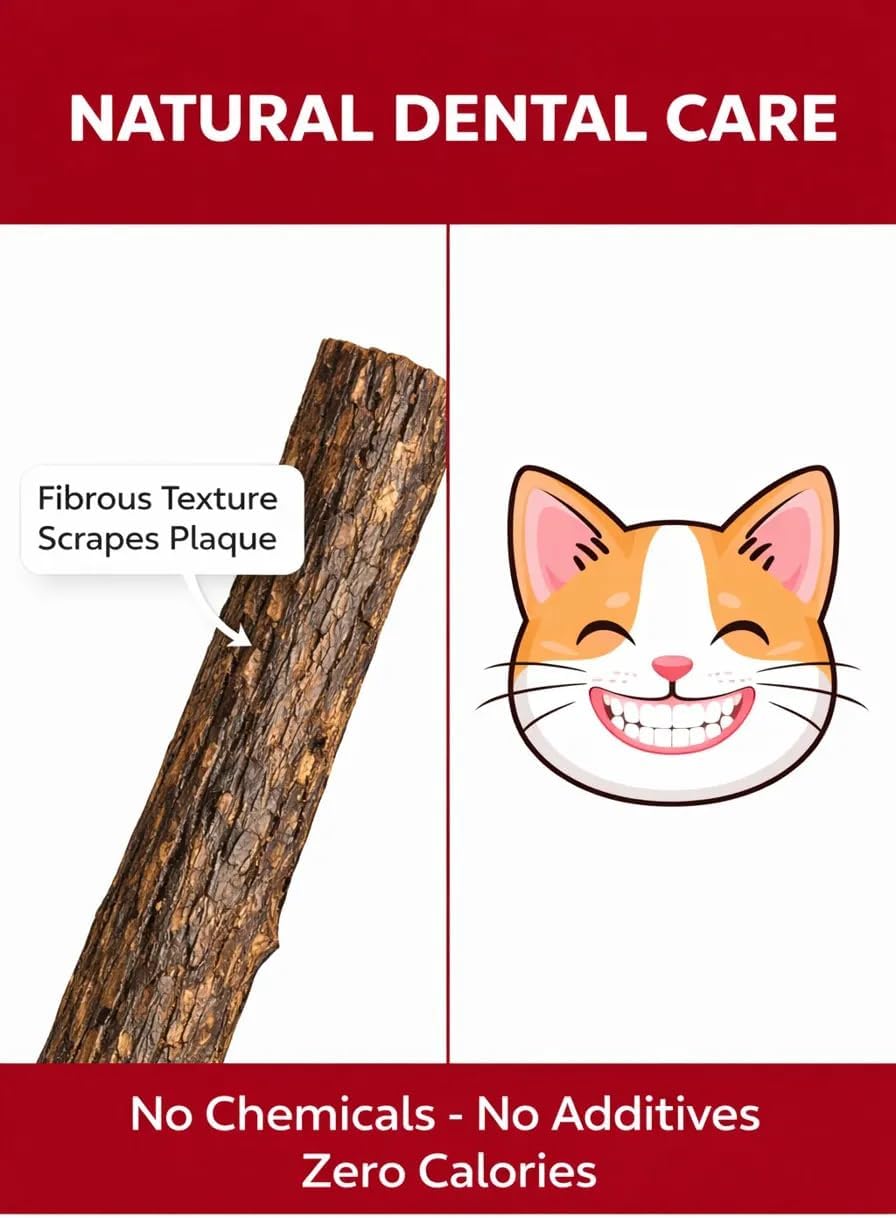 Cat Dental Teether Toy with Silvervine Chew Stick - Rubber Berry Holder with Catnip Oil Infused Matatabi Stick for Teeth Cleaning - Kitten Teething Toy for Indoor Cats (1 Teether + 1 Stick)
