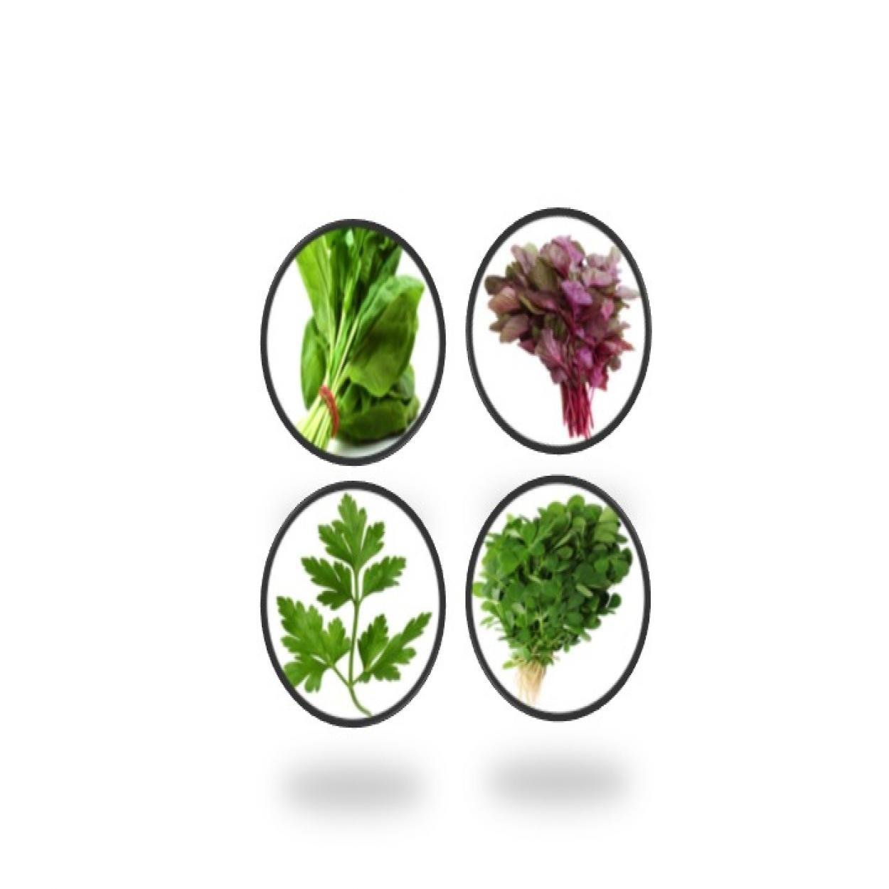 Indica Leaf Green Veg Seeds - palak, dhaniya, Methi, lal choualai saag- 4 pkts by Super Agri Green (1000+ Seeds) (B01IFPJQOM) Amazon Price History, Amazon Price Tracker