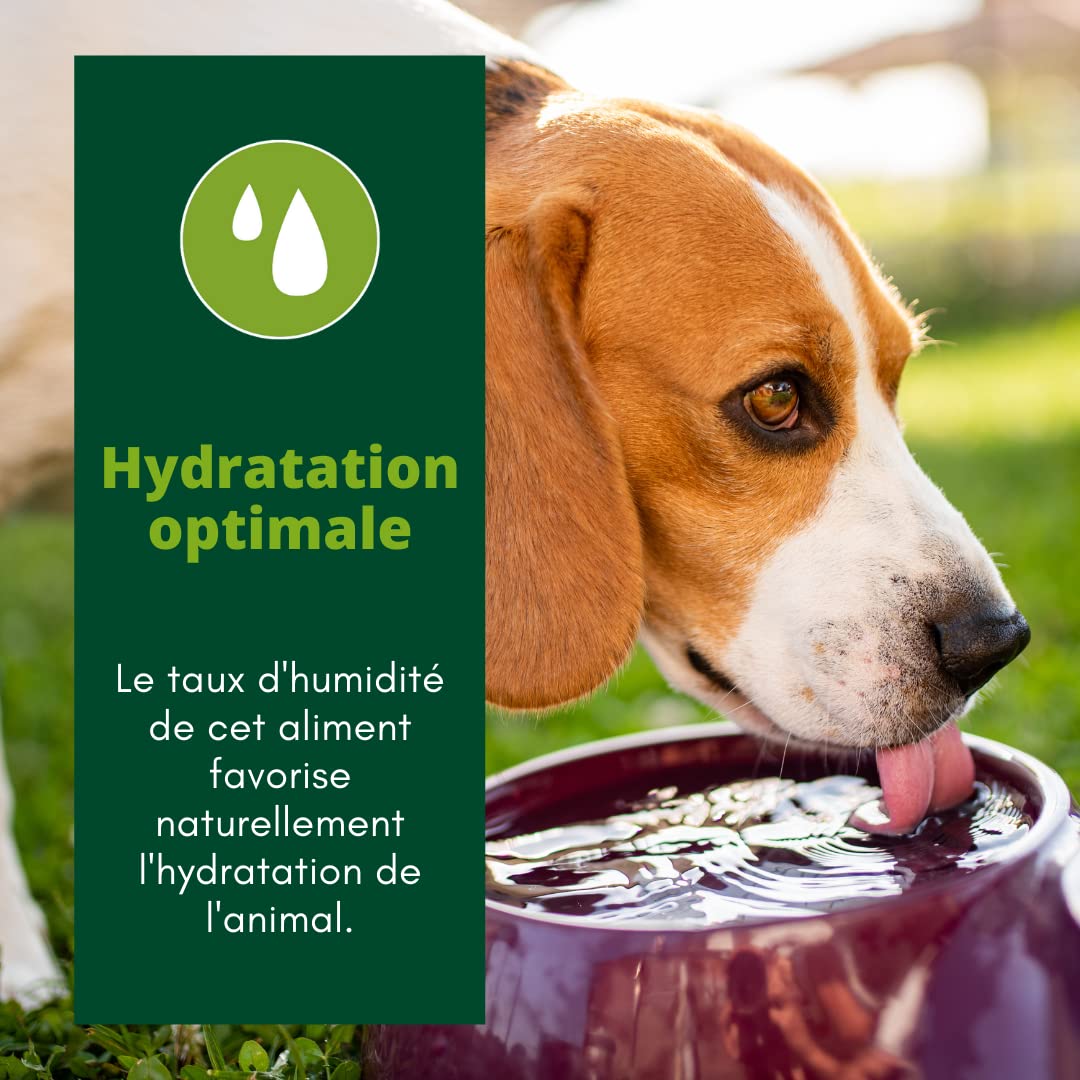 EQUILIBRE & INSTINCT - Chien Adulte - Pâtée Nourriture Humide Volaille - Transit Digestif Optimal - Recette Complète Formulée avec des Vétérinaires - 18x300g - Fabriqué en France