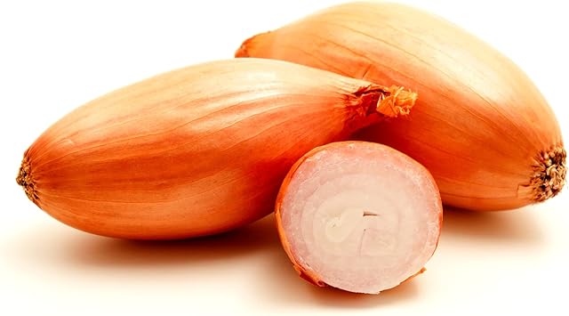 Park Seed Zebrune Shallot Seeds Heirloom French Variety, Mild Sweet Flavor, Excellent Storage, High-Yield and Cold-Tolerant, Great for Spring Planting and Home Gardens Pack of 200 Seeds