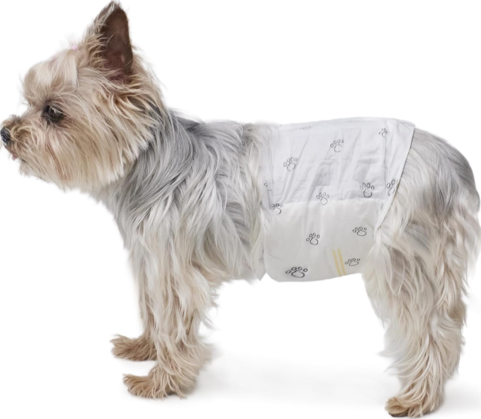 Photo 1 of Amazon Basics Male Dog Diapers (X-Small, 30 Count)