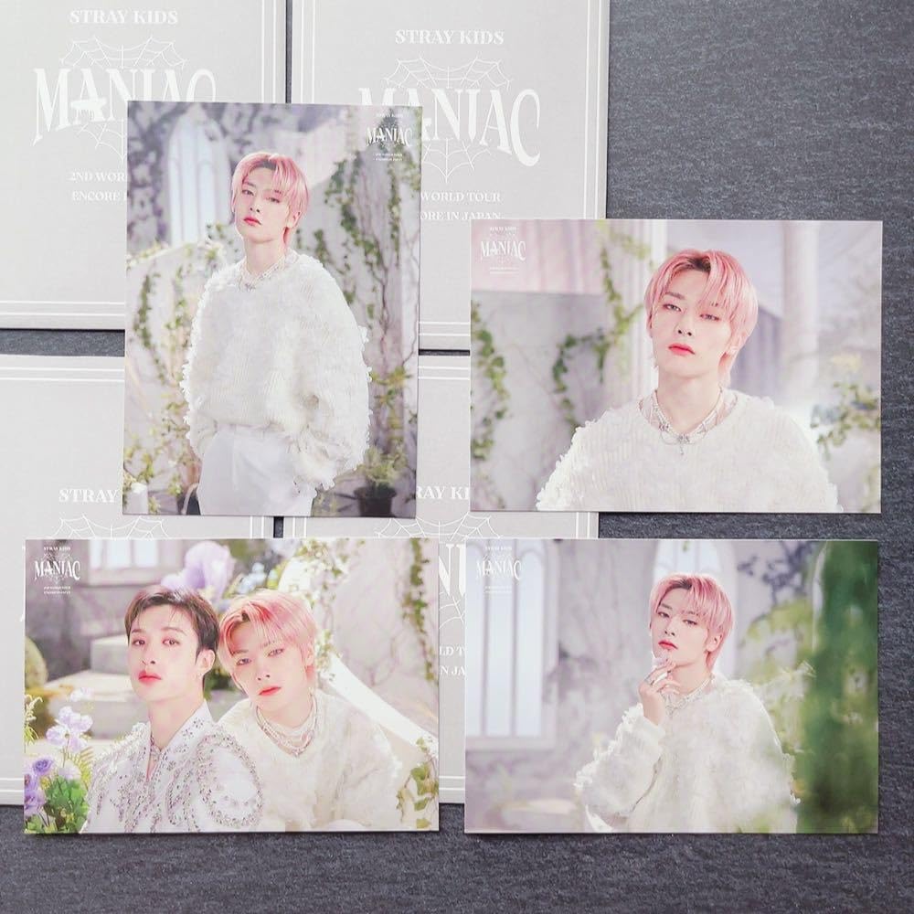 Amazon.co.jp: Stray Kids スキズ 2nd World Tour MANIAC ENCORE in 