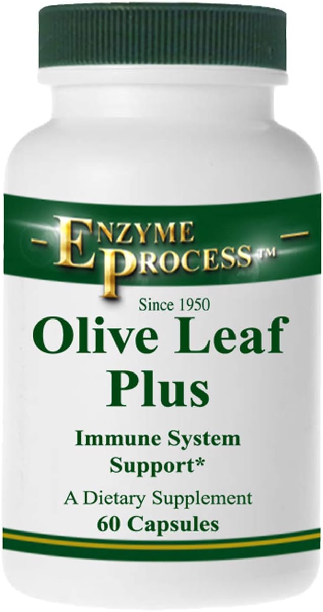 Enzyme Process - Olive Leaf Plus - Herbal Supplement - Immune System Support (60 Capsules)