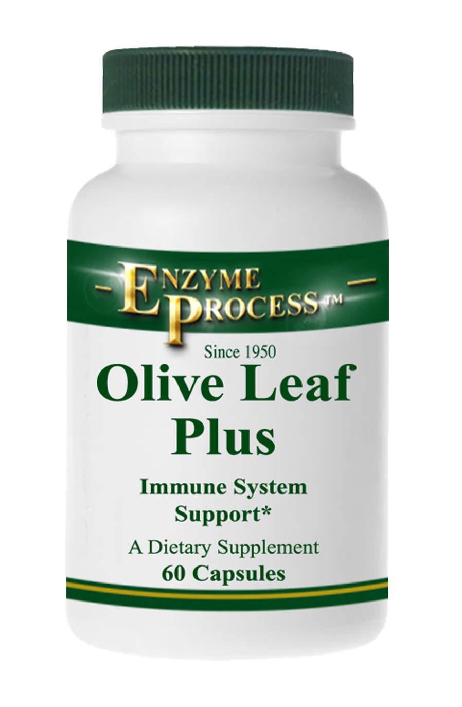 Enzyme Process - Olive Leaf Plus - Herbal Supplement - Immune System Support (60 Capsules)