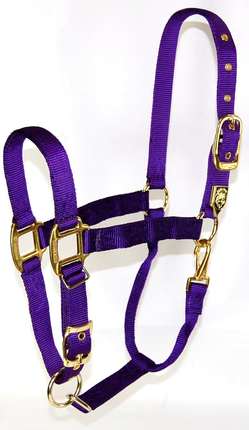 Hamilton 1-Inch Nylon Halter with Adjustable Chin, Purple - Small Size โ image 1