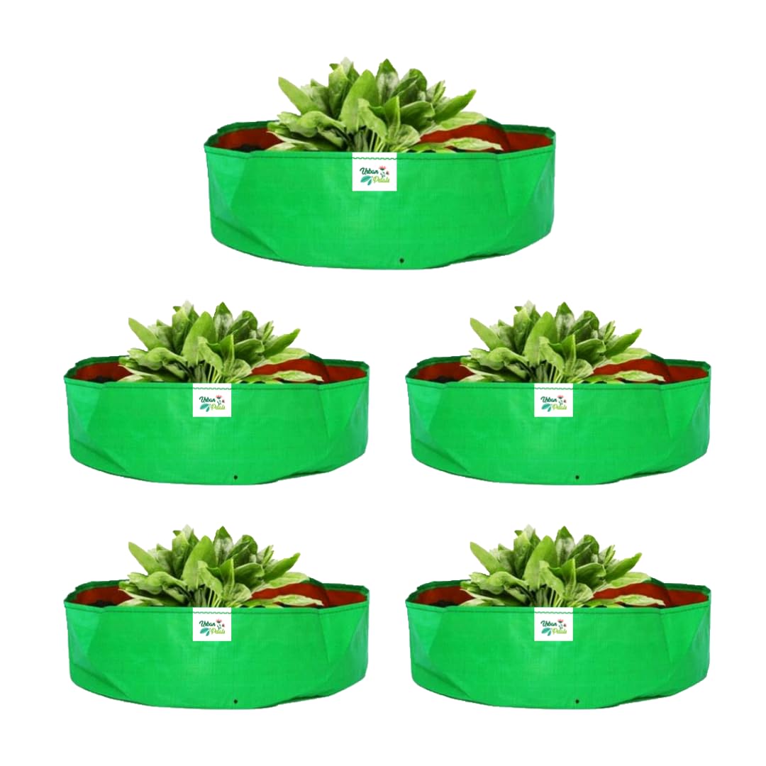 URBAN PETALS 18x9 Inches 280 GSM Grow Bag | Pack of 05 | for Flowers & Vegetables | 10 Years Long Life (B0CT8JRMPR) Amazon Price History, Amazon Price Tracker