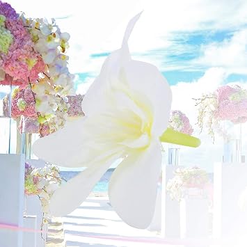 Artificial Flower Head, Mini Flower Heads, Faux Flower Heads, 10Pcs Artificial Orchid Fake Flowers Simulate Floral Mini Wreath Accessories for Wedding Bridal Wreath Decoration (Milky White)