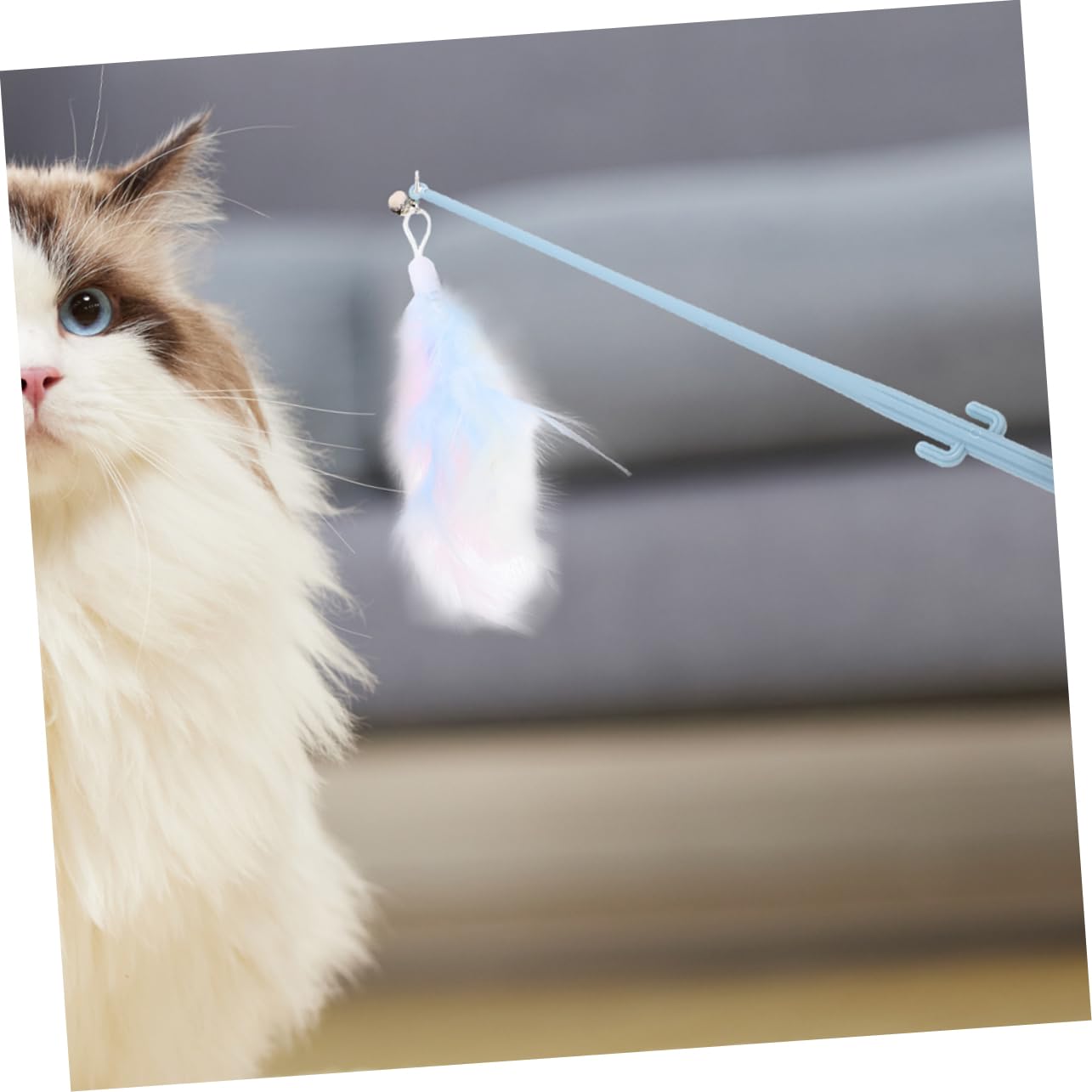 VANZACK 16pezzi Giocattolo Interattivo Per Gatti Con Piuma e Manico Ergonomico Di Bacchette Teaser Per Gattini Gioco Divertente e Sicuro Per Attività Fisica Dei Felini