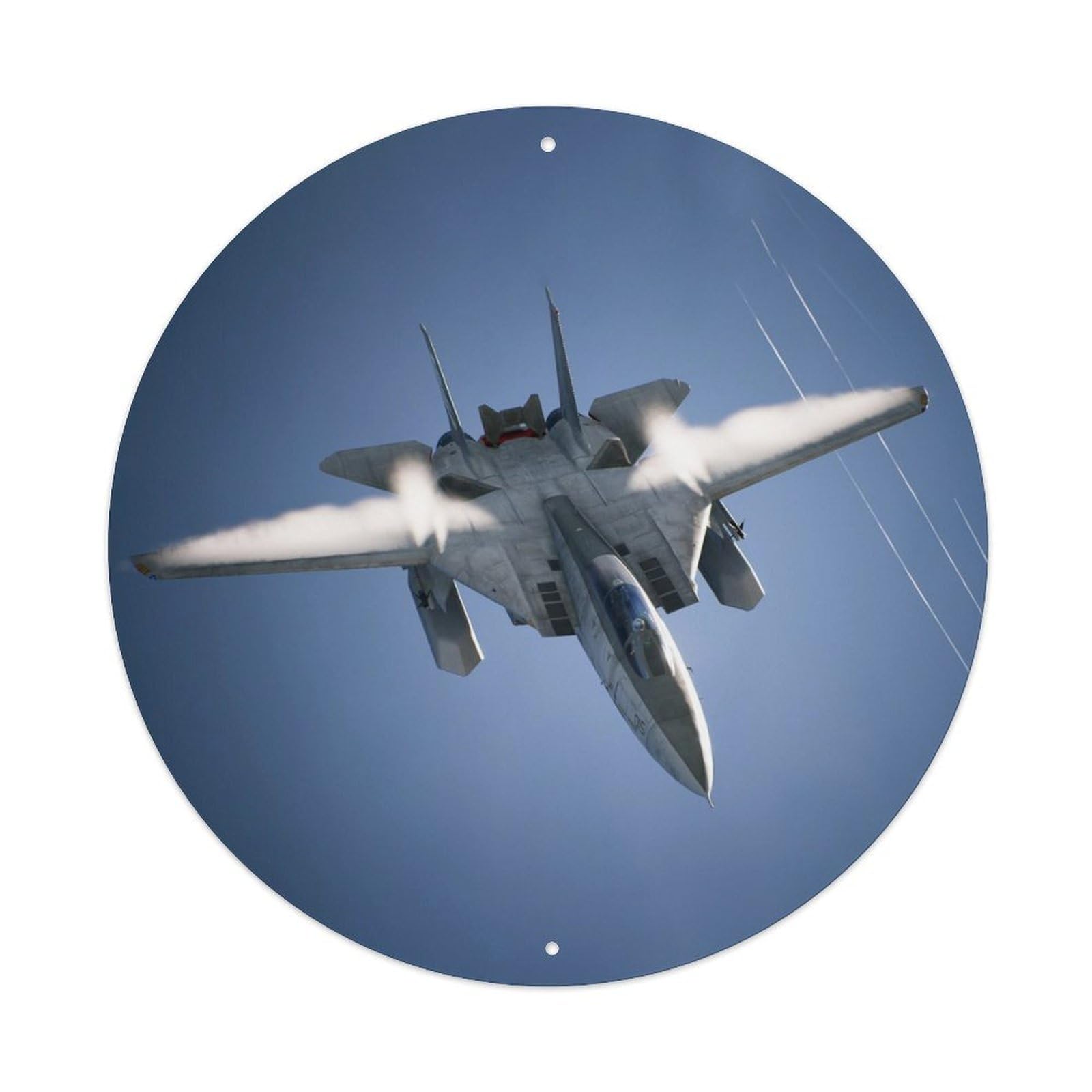 F-14 Tomcat Carrier Fighter Jet Military Aviation Metal Tin Sign