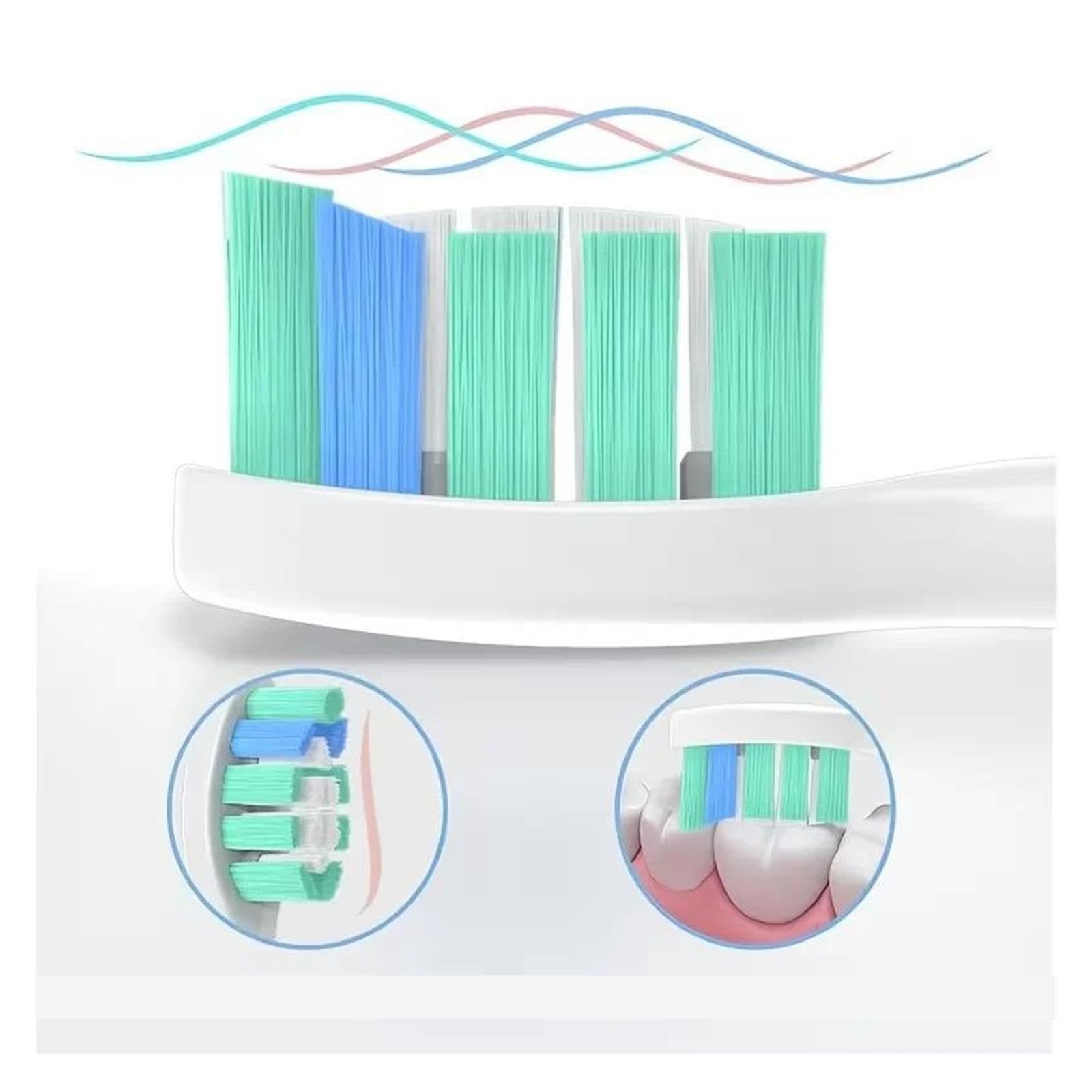 Testine, Compatibile Con Philips, 1100 2100 4100 5100
