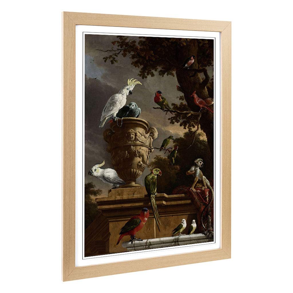 Big Box Art Framed Print of Melchior d'Hondecoeter Monkeys and Birds Design | Wall Art Picture | Home Decor for Kitchen, Living Room, Bedroom, Hallway, Oak, A2 / 24.5x18 Inch / 62x45cm