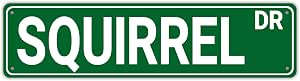 snowsun Hockey Dr Funny Metal Signs Vintage Street Targa in
